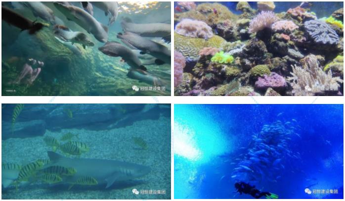 ʱ⡤ͬͬС̫ɼtyc122ccڽ輯麣ȼ֮