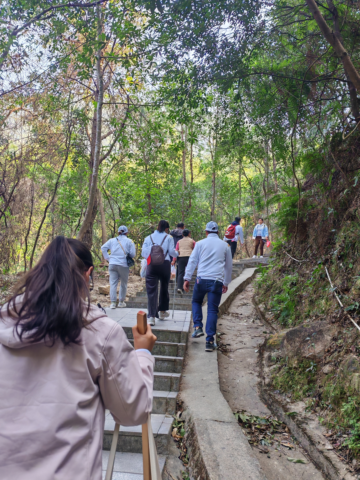 太阳成集团tyc122cc入口建设青委会,勇攀高峰迎新年!