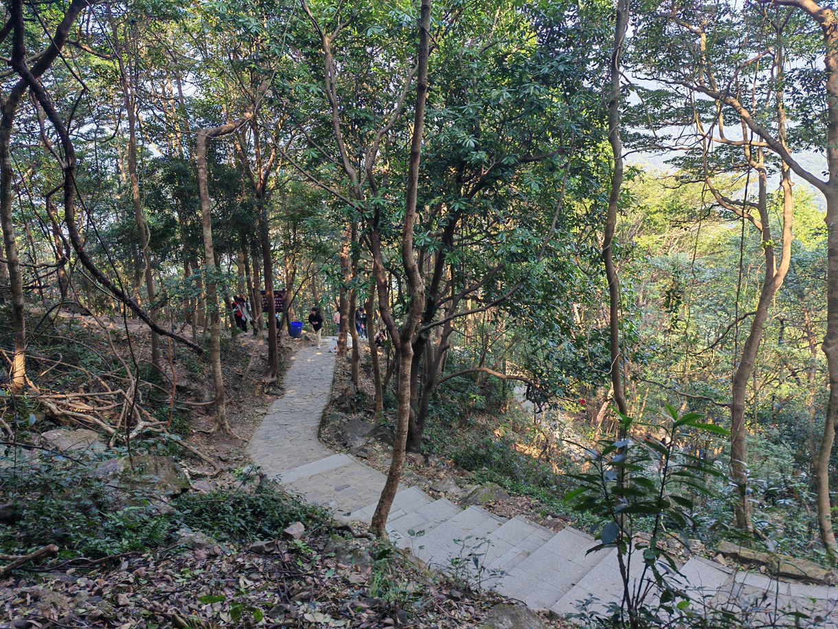 太阳成集团tyc122cc入口建设青委会,勇攀高峰迎新年!